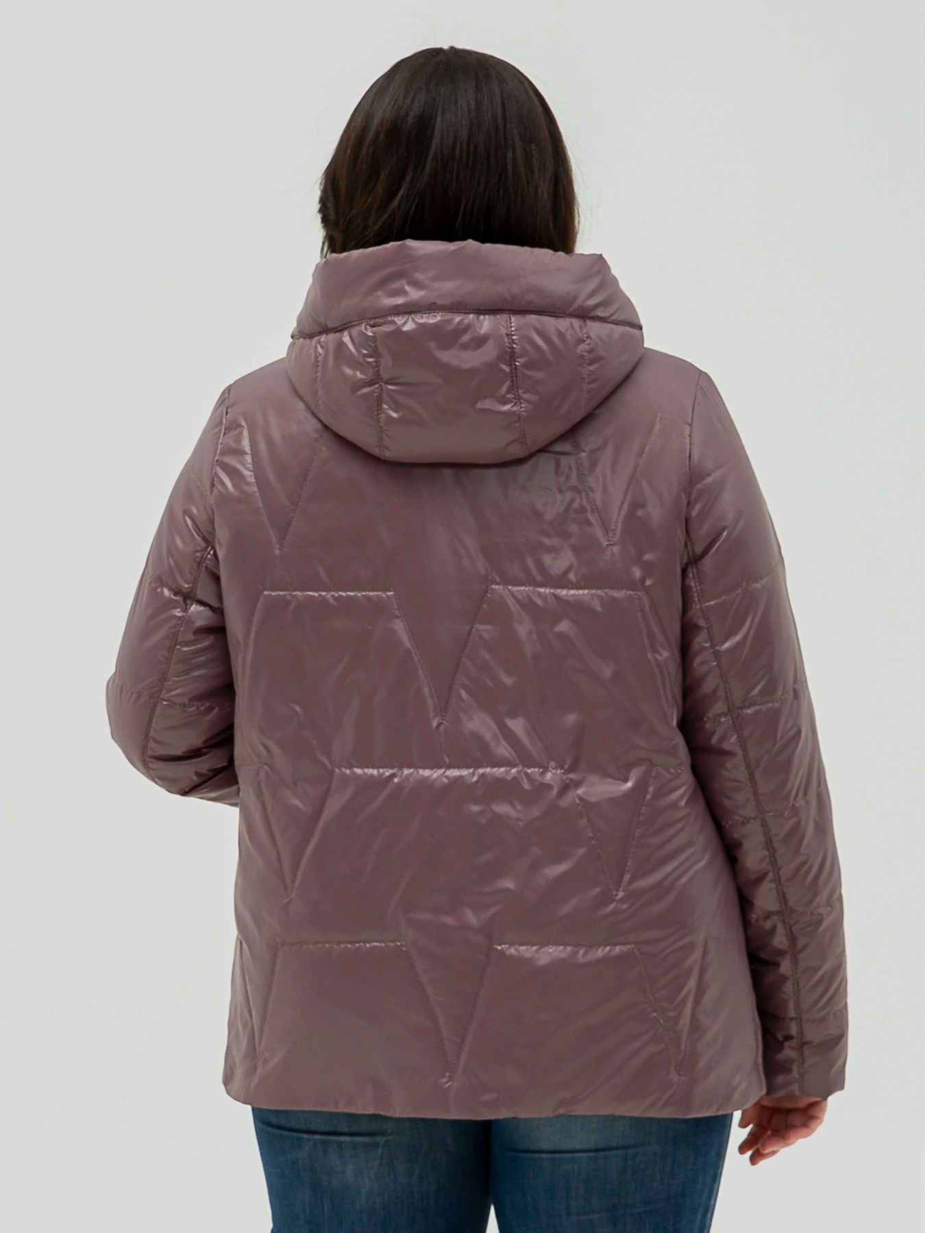 Куртки и дубленки All Posa модель ap101356p-dimchasta-troqnda Фото