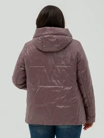 Куртки и дубленки All Posa модель ap101356p-dimchasta-troqnda Фото