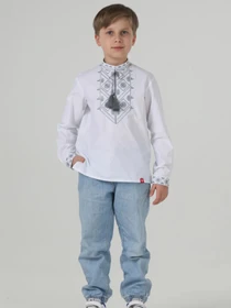 Вишиванки Folk Moda модель fm3069-blij Фото