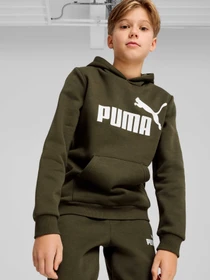 Худі та світшоти PUMA Ess Big Logo Hoodie модель 586965 Фото