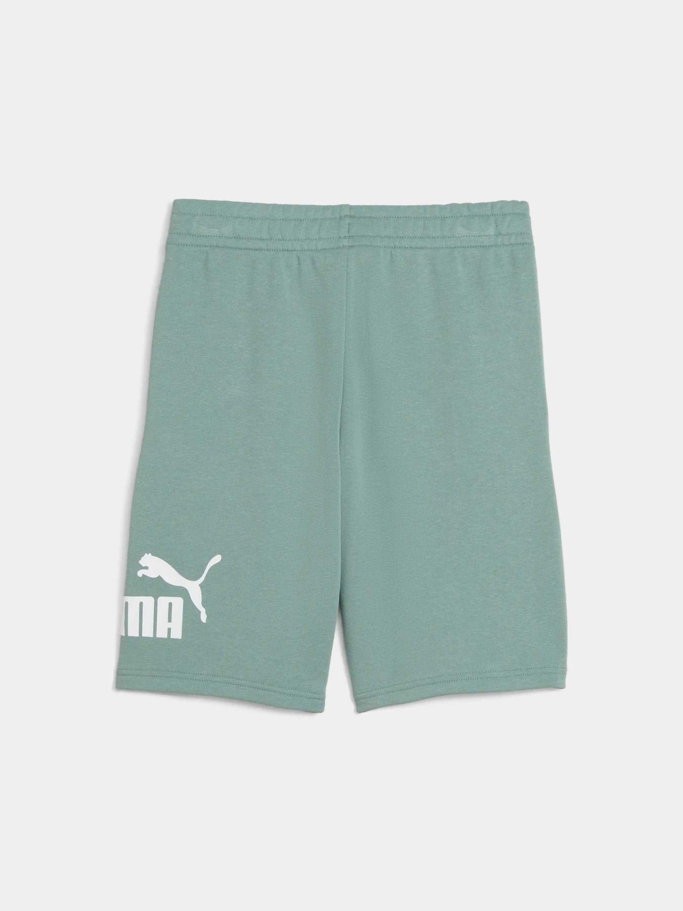 Шорты PUMA Ess No. 1 Logo Shorts Tr модель 684918 Шорты PUMA Ess No. 1 Logo Shorts Tr модель 684918 Фото