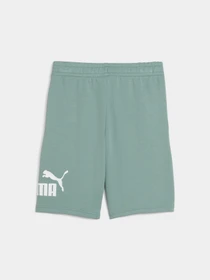 Шорты PUMA Ess No. 1 Logo Shorts Tr модель 684918 Фото