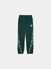Брюки PUMA Hoops x Harry Potter Sweat модель 633112 Фото
