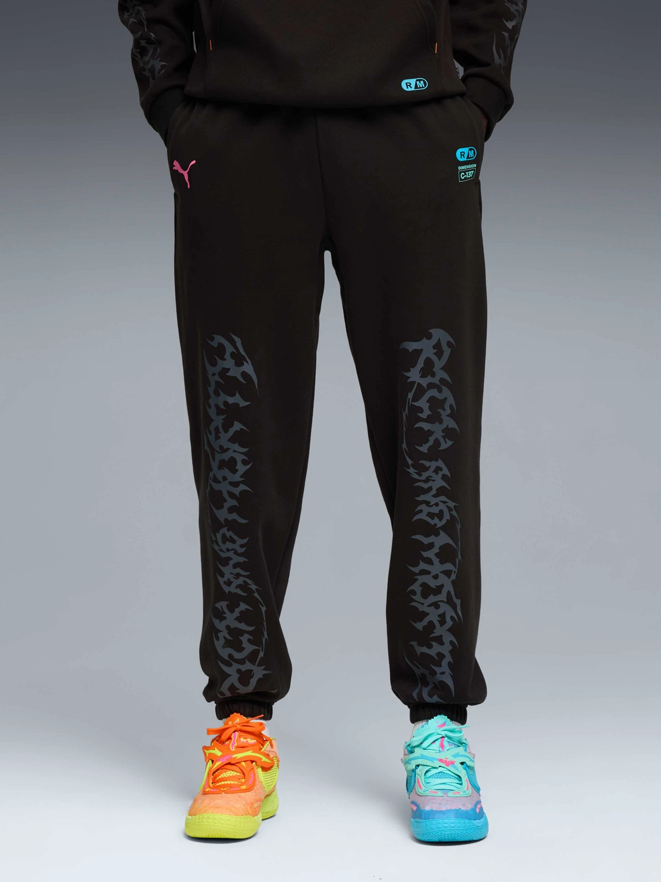Брюки PUMA Hoops x Rick And Morty Sweat модель 633095 Брюки PUMA Hoops x Rick And Morty Sweat модель 633095 Фото