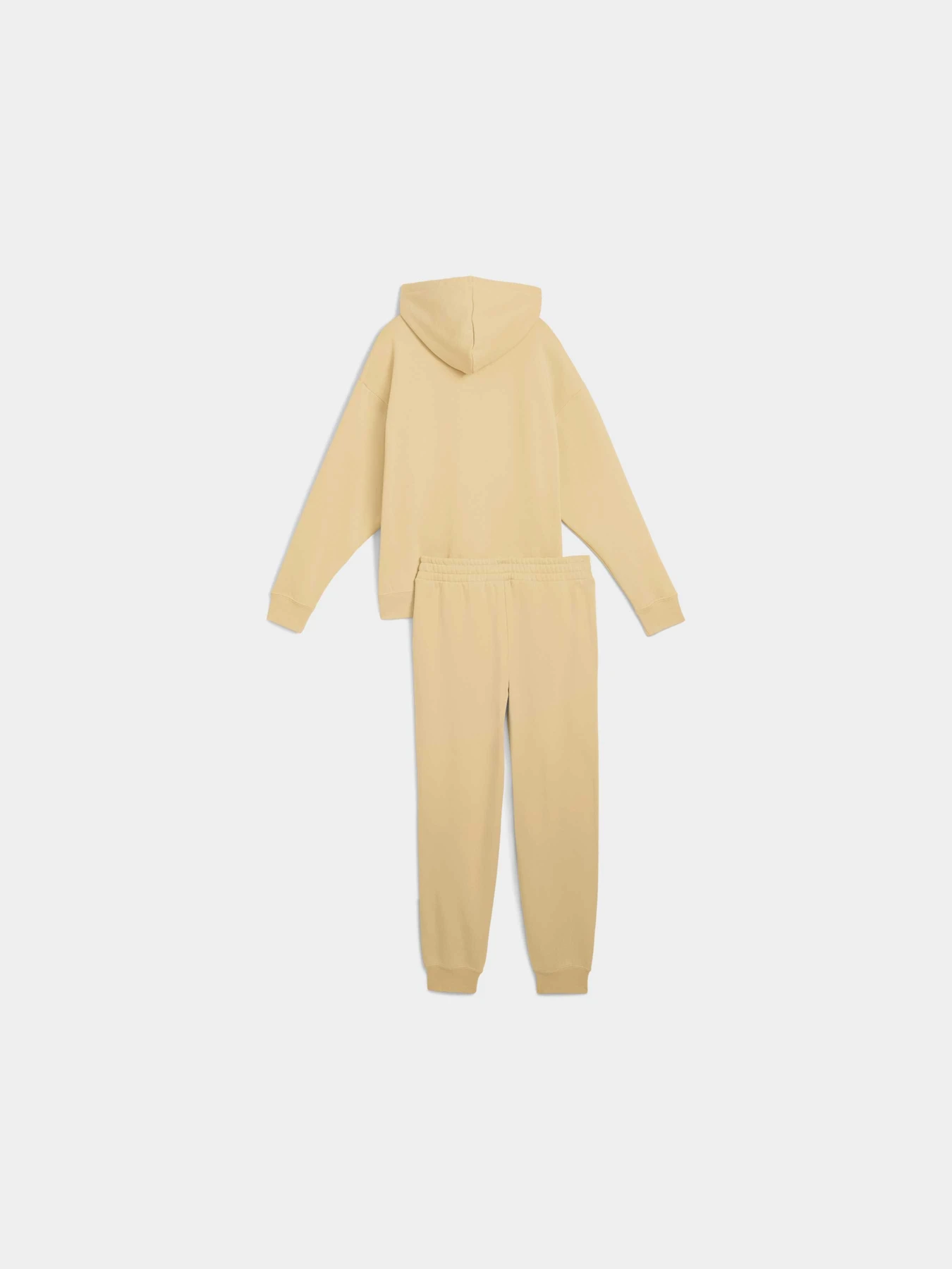 Костюмы PUMA Loungewear Sweat Suit Fl Cl модель 689346 Фото