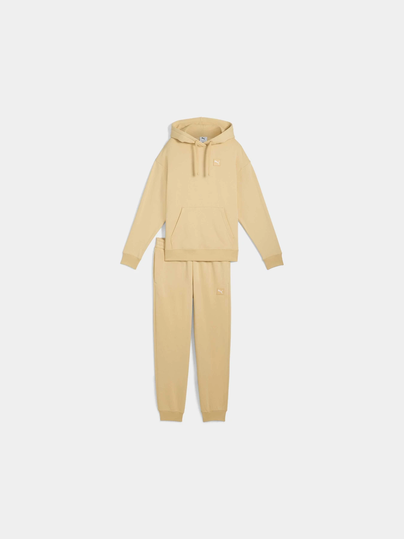 Костюмы PUMA Loungewear Sweat Suit Fl Cl модель 689346 Фото