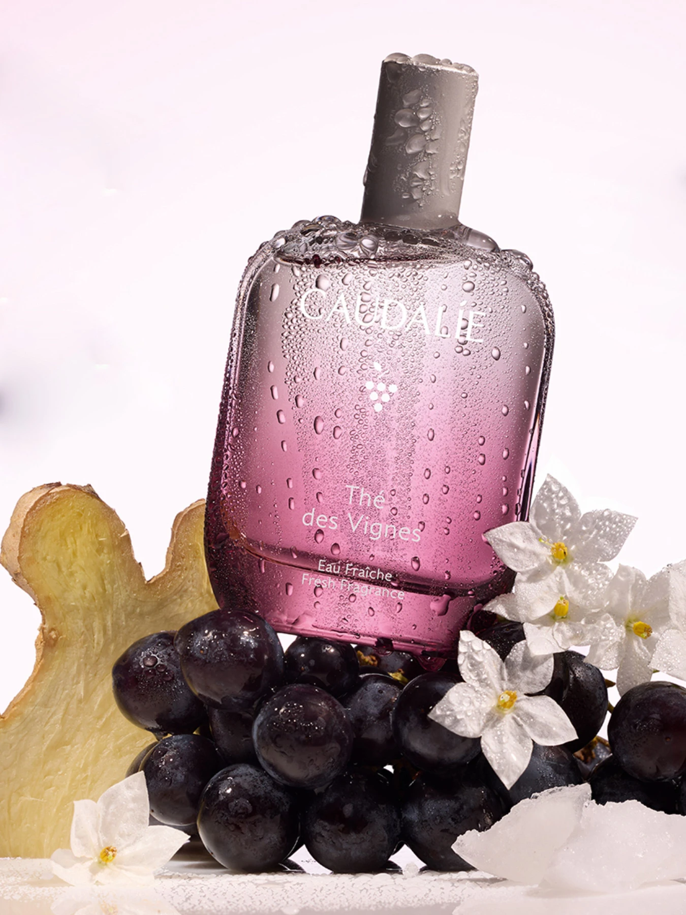 Энергетическая туалетная вода The des Vignes CAUDALIE модель 528 Энергетическая туалетная вода The des Vignes CAUDALIE модель 528 Фото