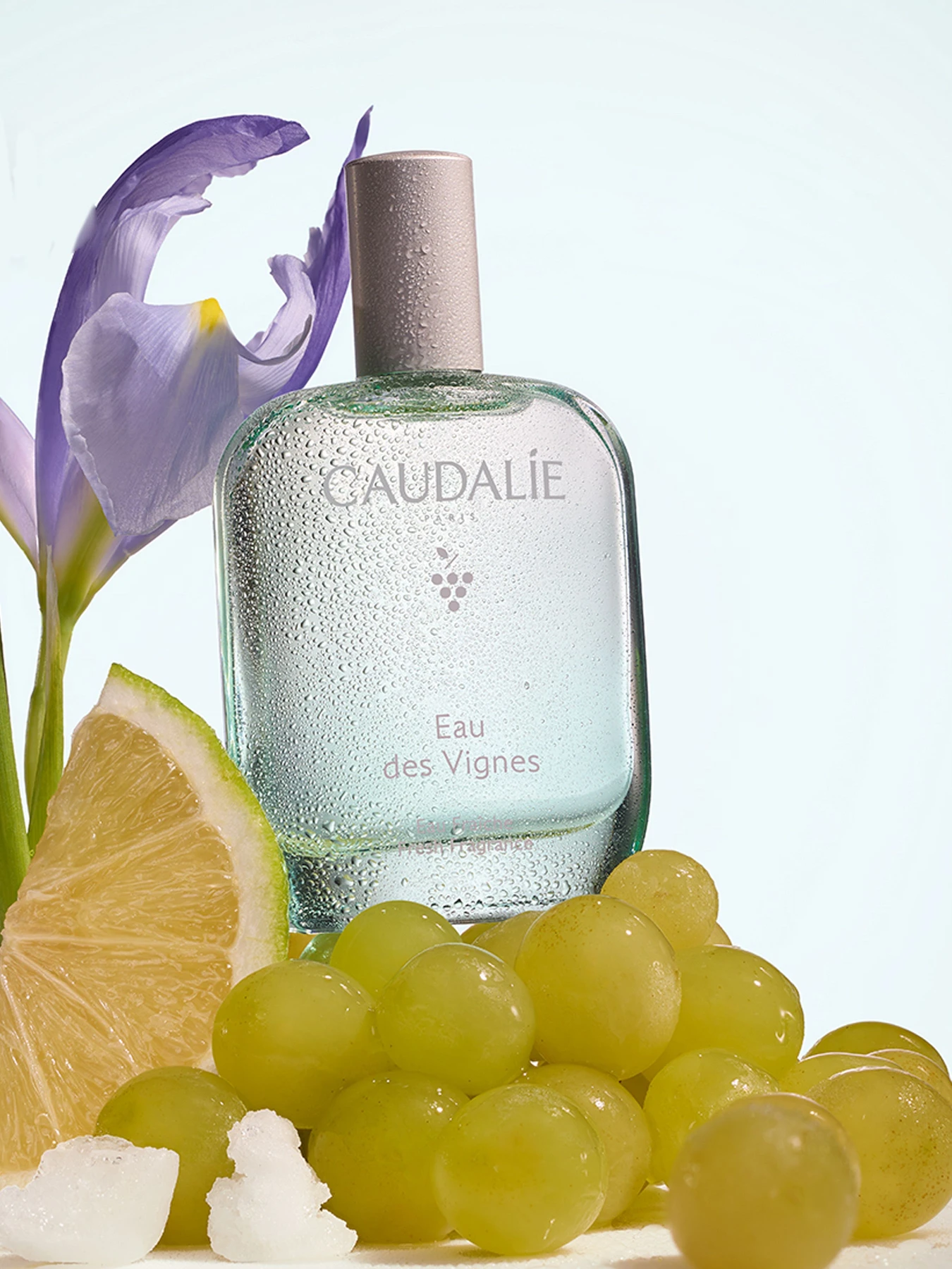 Освіжаюча парфумована вода Eau des Vignes CAUDALIE модель 529 Освіжаюча парфумована вода Eau des Vignes CAUDALIE модель 529 Фото