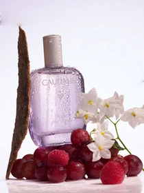 Парфумована вода Ange des Vignes CAUDALIE модель 531 Фото