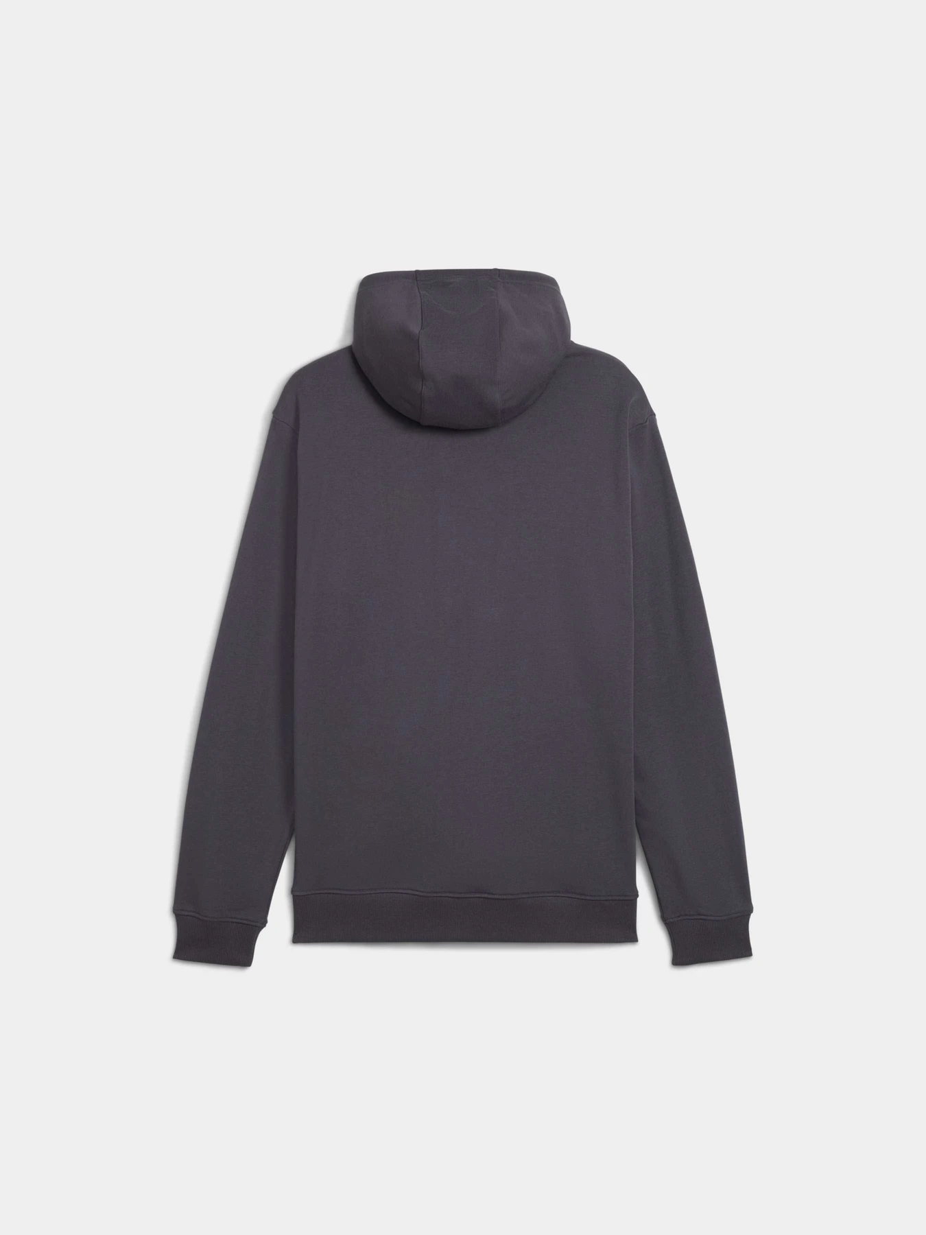 Худи и свитшоты PUMA Tad Ess French Terry Hoodie модель 525918 Худи и свитшоты PUMA Tad Ess French Terry Hoodie модель 525918 Фото