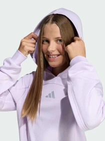 Худи и свитшоты Adidas модель KB9554 Фото