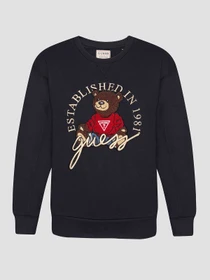 Худи и свитшоты GUESS Kids модель H5RJ01.KAD74;G7V2 Фото
