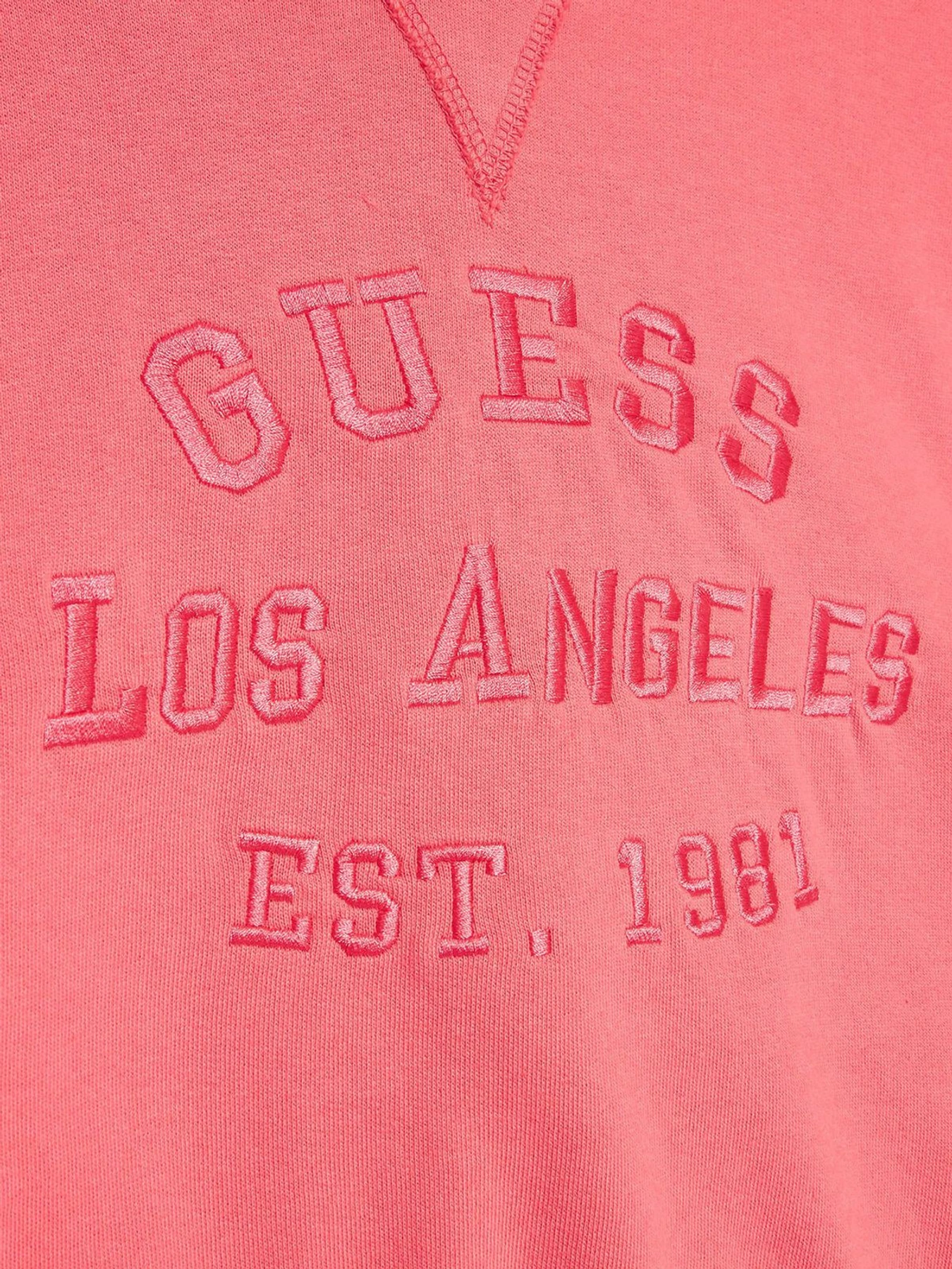 Худи и свитшоты GUESS модель J3GQ00.KA6R3;A60Y Фото