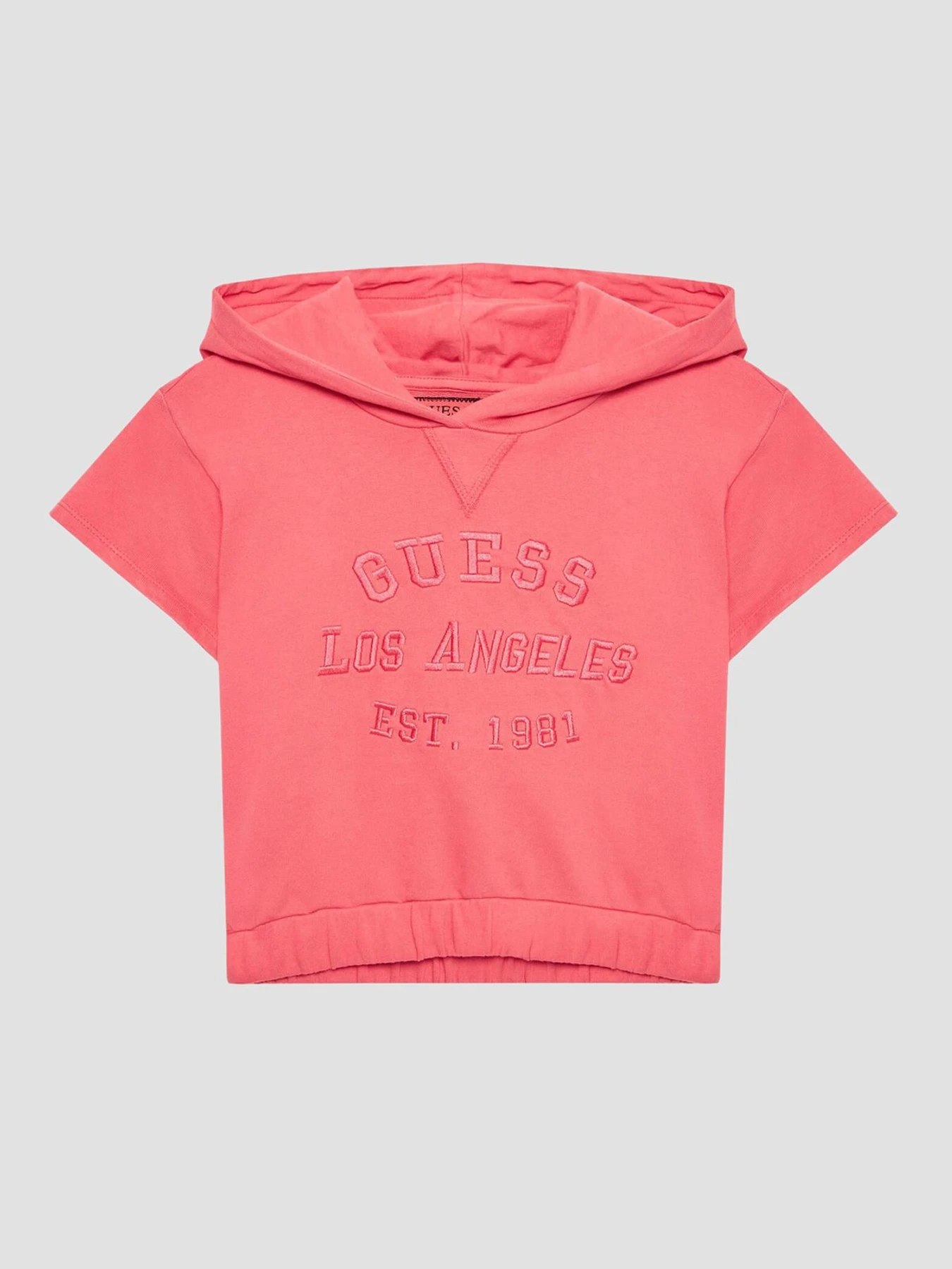 Худи и свитшоты GUESS модель J3GQ00.KA6R3;A60Y Фото