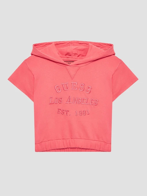Худи и свитшоты GUESS модель J3GQ00.KA6R3;A60Y Фото