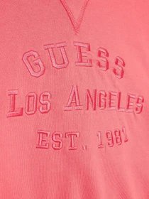 Худи и свитшоты GUESS модель J3GQ00.KA6R3;A60Y Фото