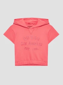 Худи и свитшоты GUESS модель J3GQ00.KA6R3;A60Y Фото