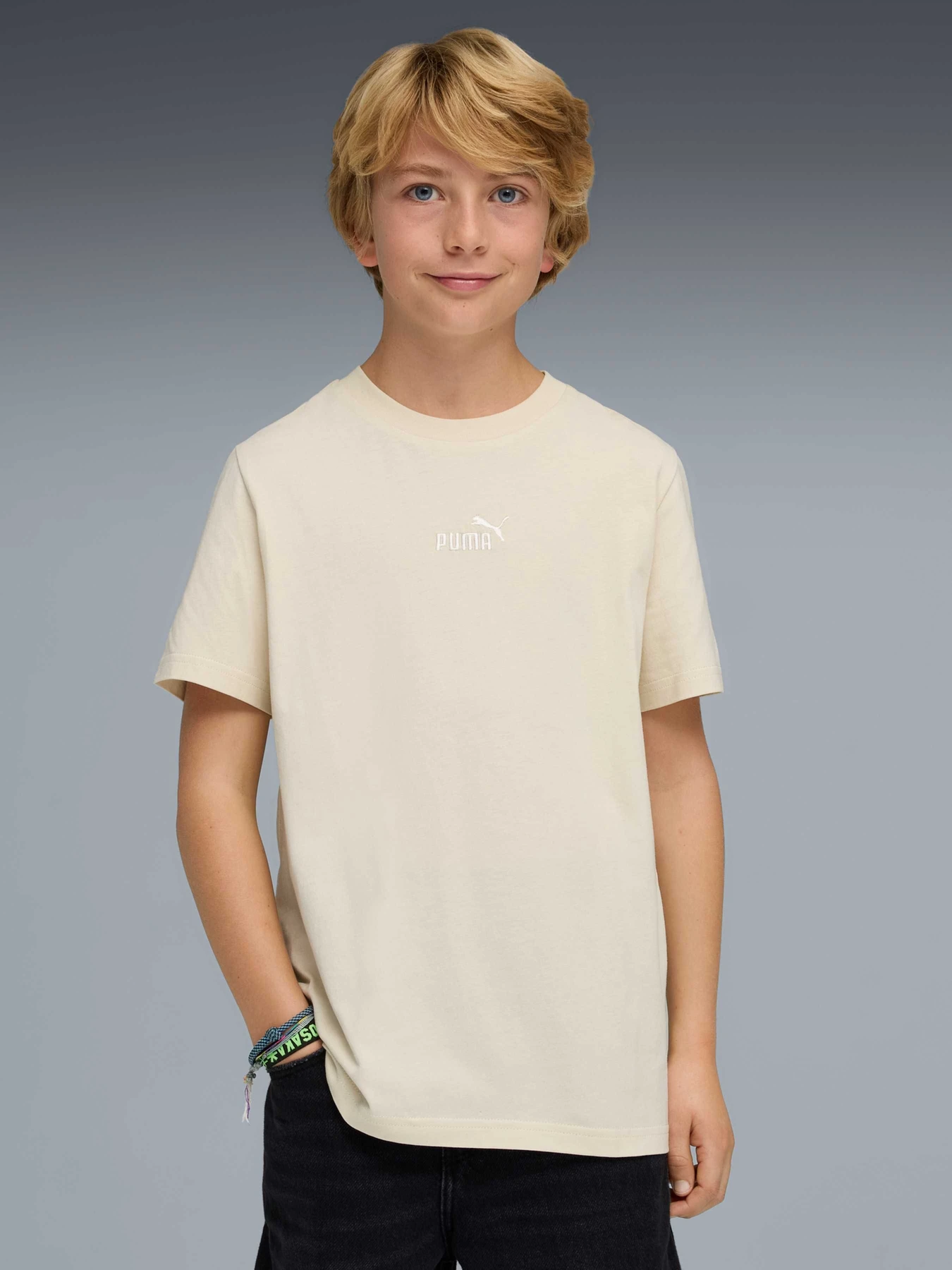 Футболки і поло PUMA Ess Small No.1 Logo Centered модель 692975 Футболки і поло PUMA Ess Small No.1 Logo Centered модель 692975 Фото