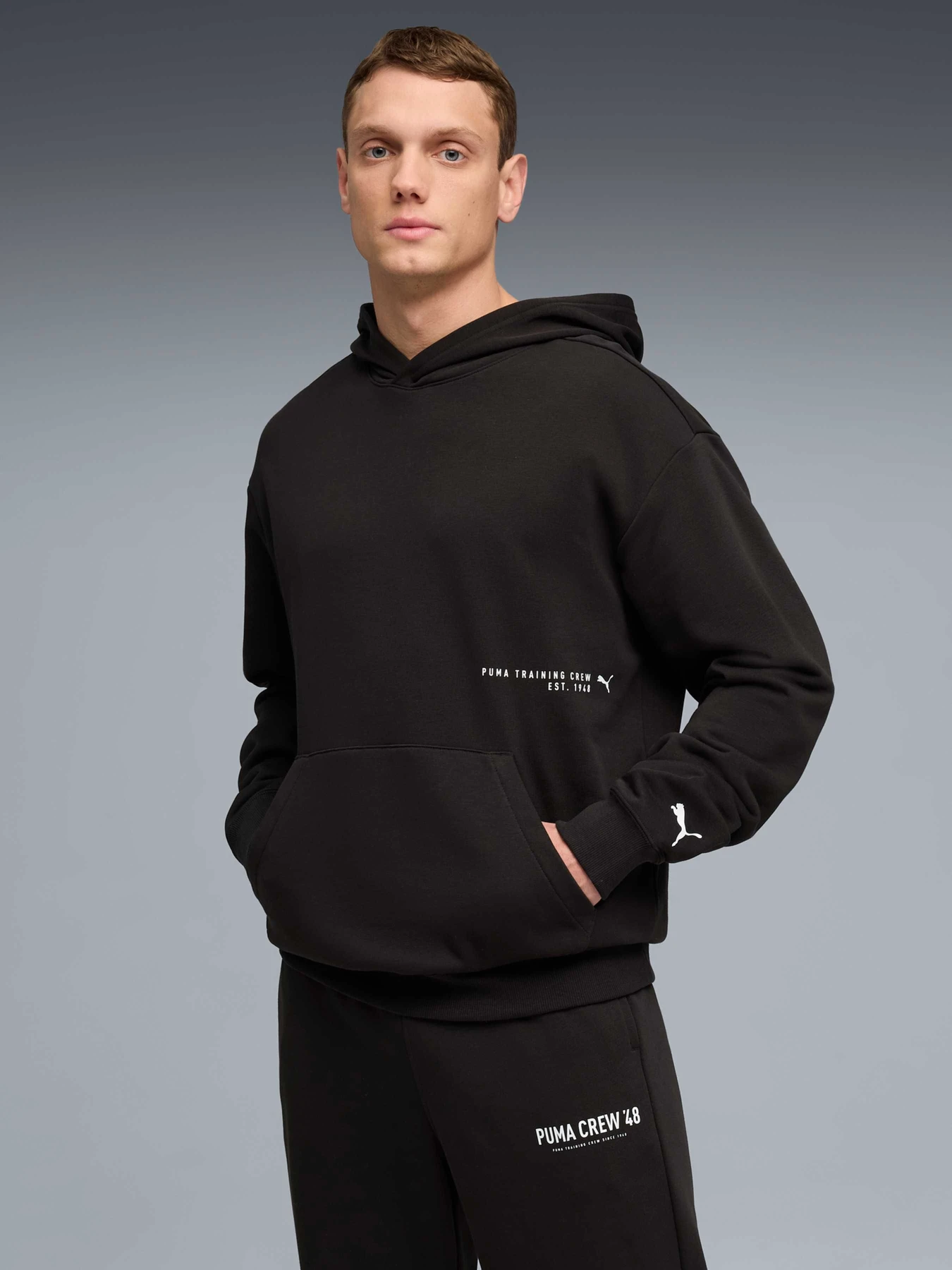 Худи и свитшоты PUMA M Graphics Frnch Trry Hoodie модель 528670 Фото