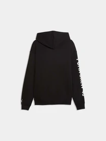 Худи и свитшоты PUMA M Graphics Frnch Trry Hoodie модель 528670 Фото