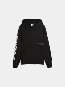 Худи и свитшоты PUMA M Graphics Frnch Trry Hoodie модель 528670 Фото