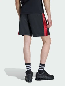 Шорти Adidas Adicolor модель KD5871 Фото