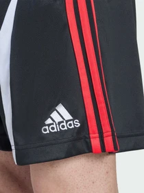 Шорти Adidas Adicolor модель KD5871 Фото