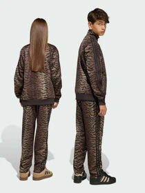 Брюки Adidas Graphics модель KD3200 Фото