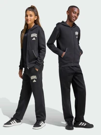 Брюки Adidas модель KC4573 Фото