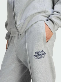 Штани Adidas Graphics модель KE2241 Фото