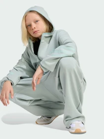 Худи и свитшоты Adidas модель KS2573 Фото