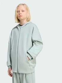 Худи и свитшоты Adidas модель KS2573 Фото
