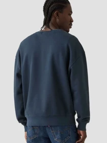 Худи и свитшоты Levi's модель 005PK;0003 Фото