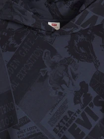 Худі та світшоти Levi's модель 0065D;0000 Фото