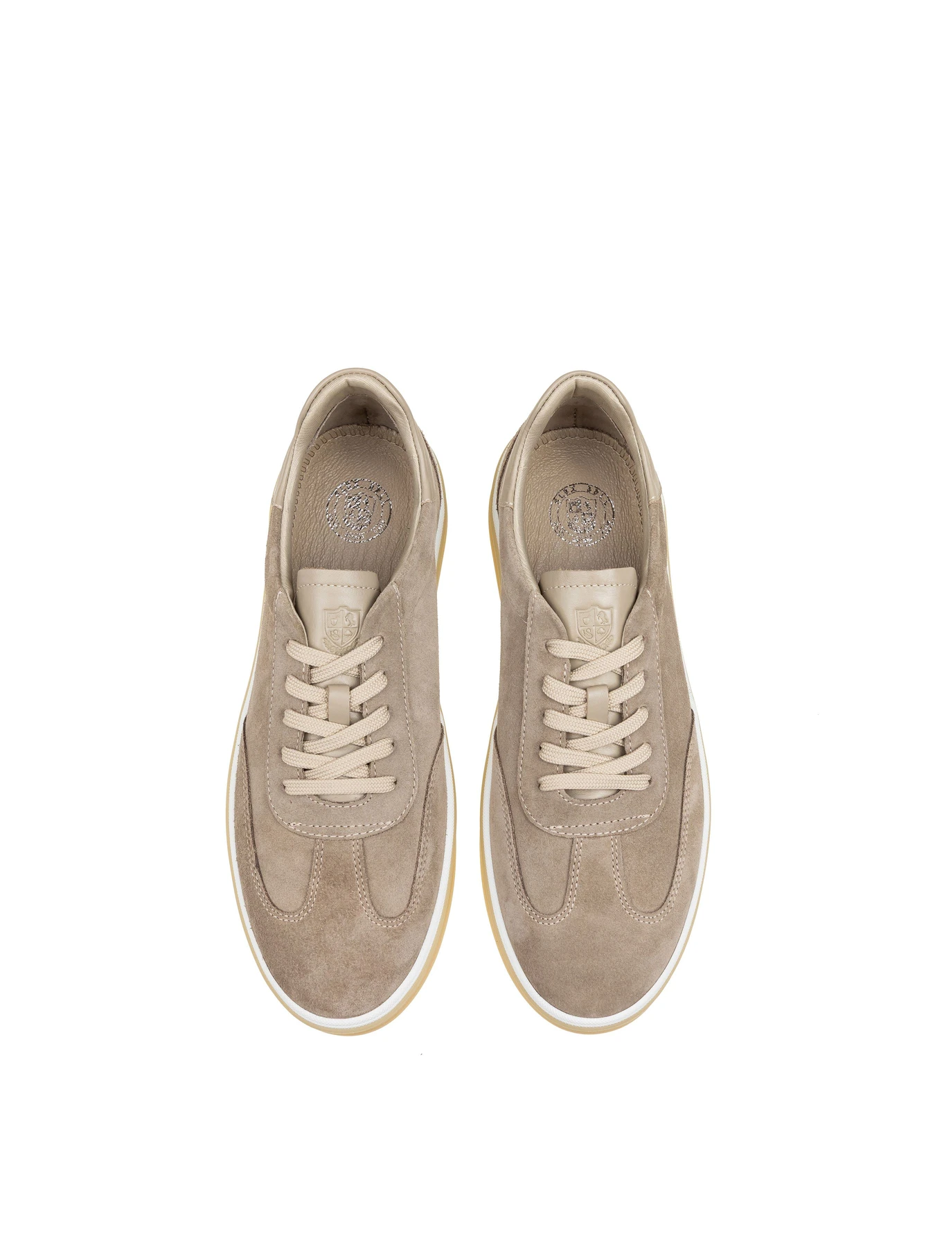 Кеди Alex Bell модель 1175823 Фото