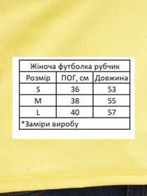 Футболки і поло HiBrand модель Wm283 Фото