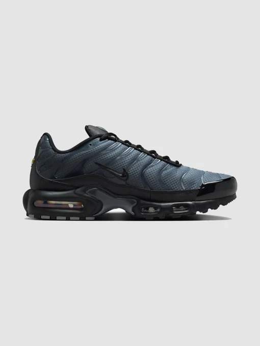 Кроссовки NIKE Air Max Plus Prm модель IB2253-001 Фото