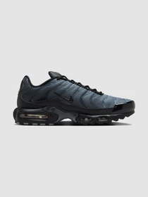 Кроссовки NIKE Air Max Plus Prm модель IB2253-001 Фото