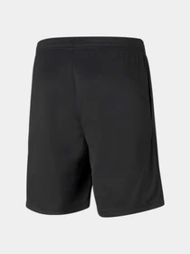 Шорты PUMA Teamrise Training Shorts модель 657336 Фото