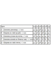 Костюмы Носи своє модель 6063-023-33-6-chornij-duck Фото