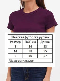 Футболки і поло HiBrand модель Wm287 Фото