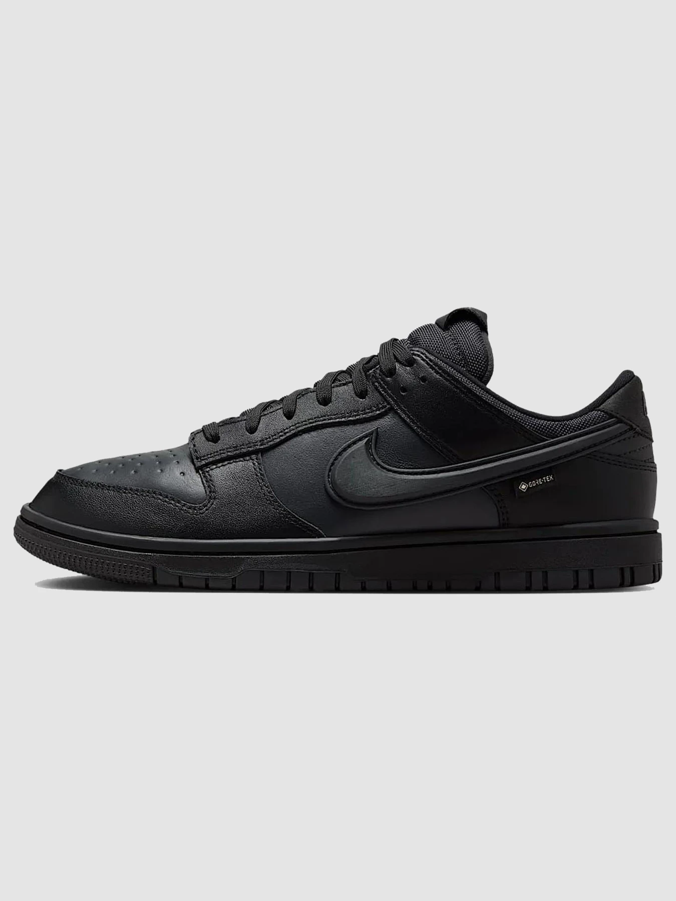 Кроссовки NIKE Dunk Low Gore-Tex модель HQ2053-001 Фото