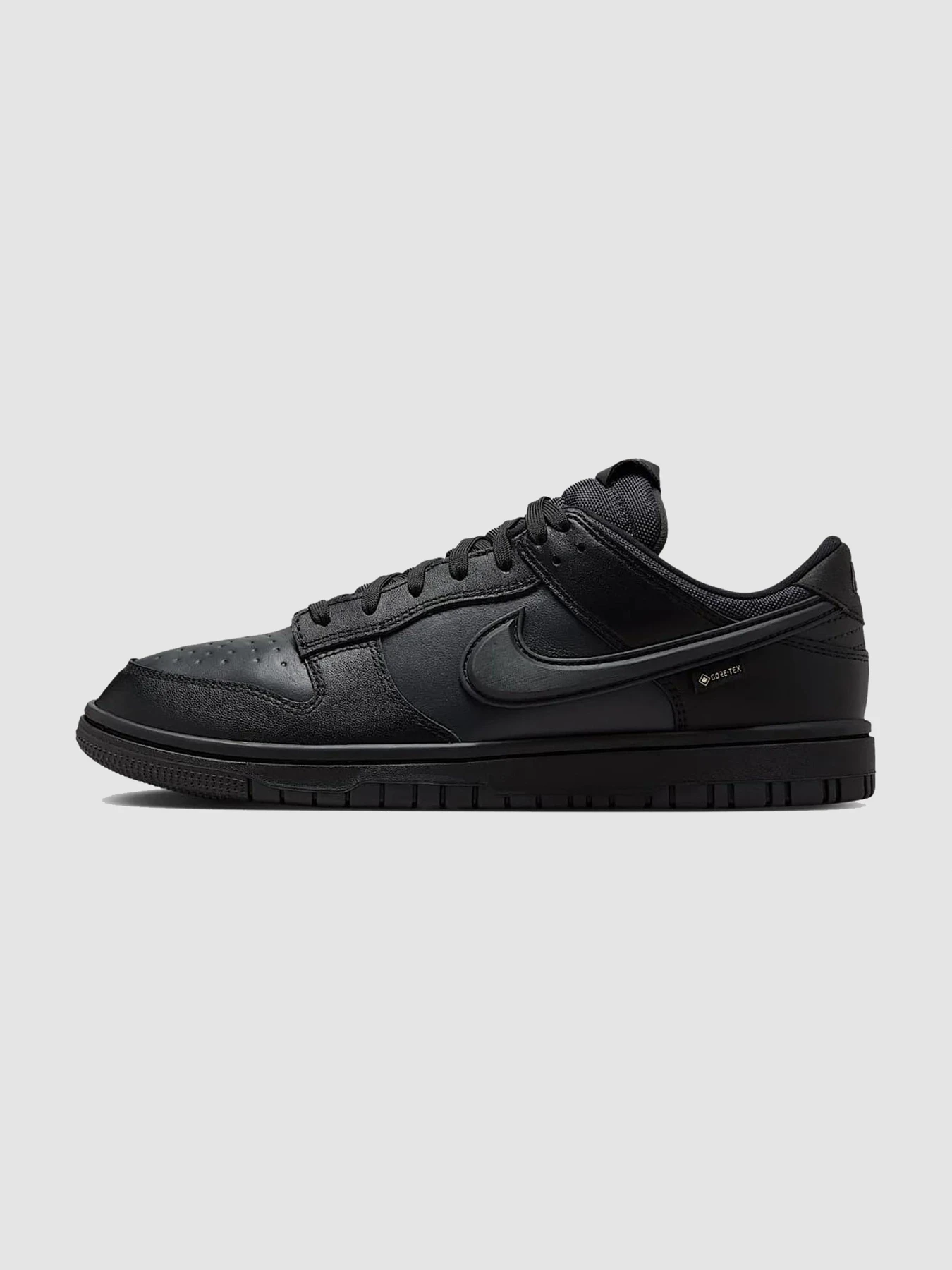 Кроссовки NIKE Dunk Low Gore-Tex модель HQ2053-001 Фото