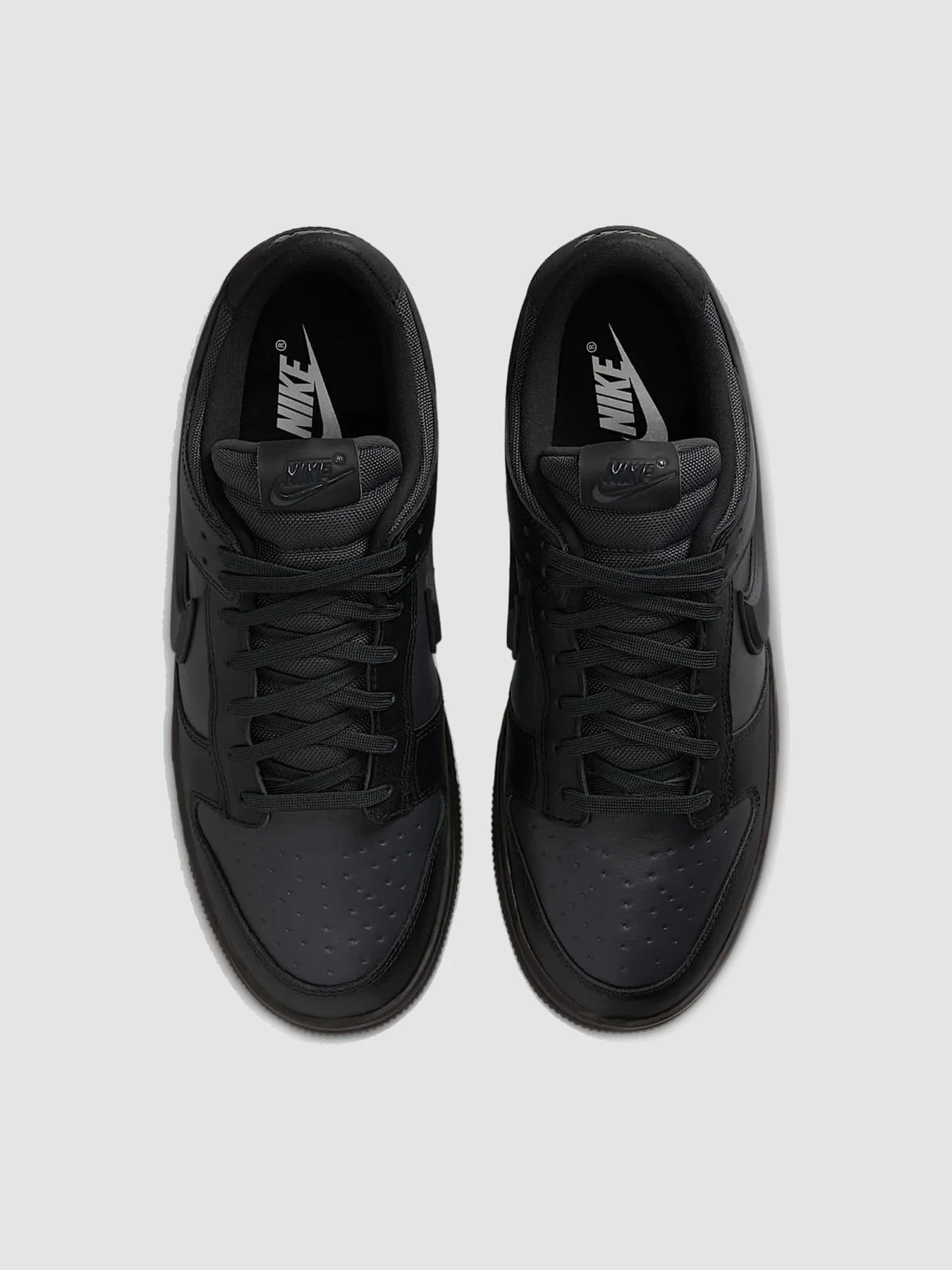 Кроссовки NIKE Dunk Low Gore-Tex модель HQ2053-001 Фото