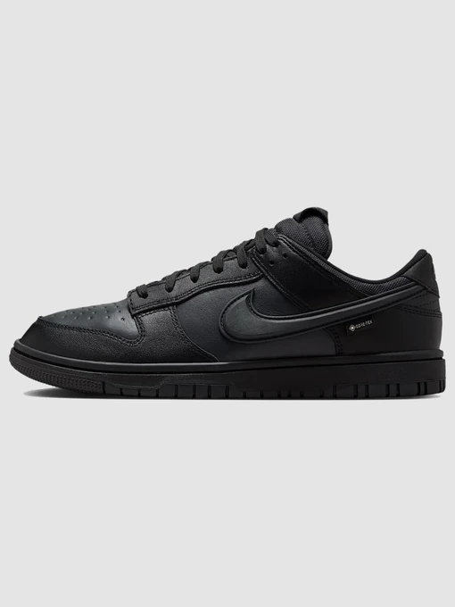 Чоловічі Кросівки повсякденні NIKE Dunk Low Gore-Tex фото 2