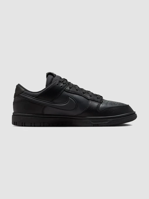 Кроссовки NIKE Dunk Low Gore-Tex модель HQ2053-001 Фото