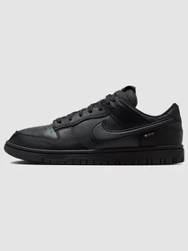 Кроссовки NIKE Dunk Low Gore-Tex модель HQ2053-001 Фото