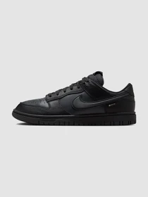 Кроссовки NIKE Dunk Low Gore-Tex модель HQ2053-001 Фото