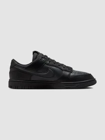 Кроссовки NIKE Dunk Low Gore-Tex модель HQ2053-001 Фото