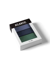 Нижнее белье Atlantic модель 3MH-011_DENJ_IND_ZIEC Фото